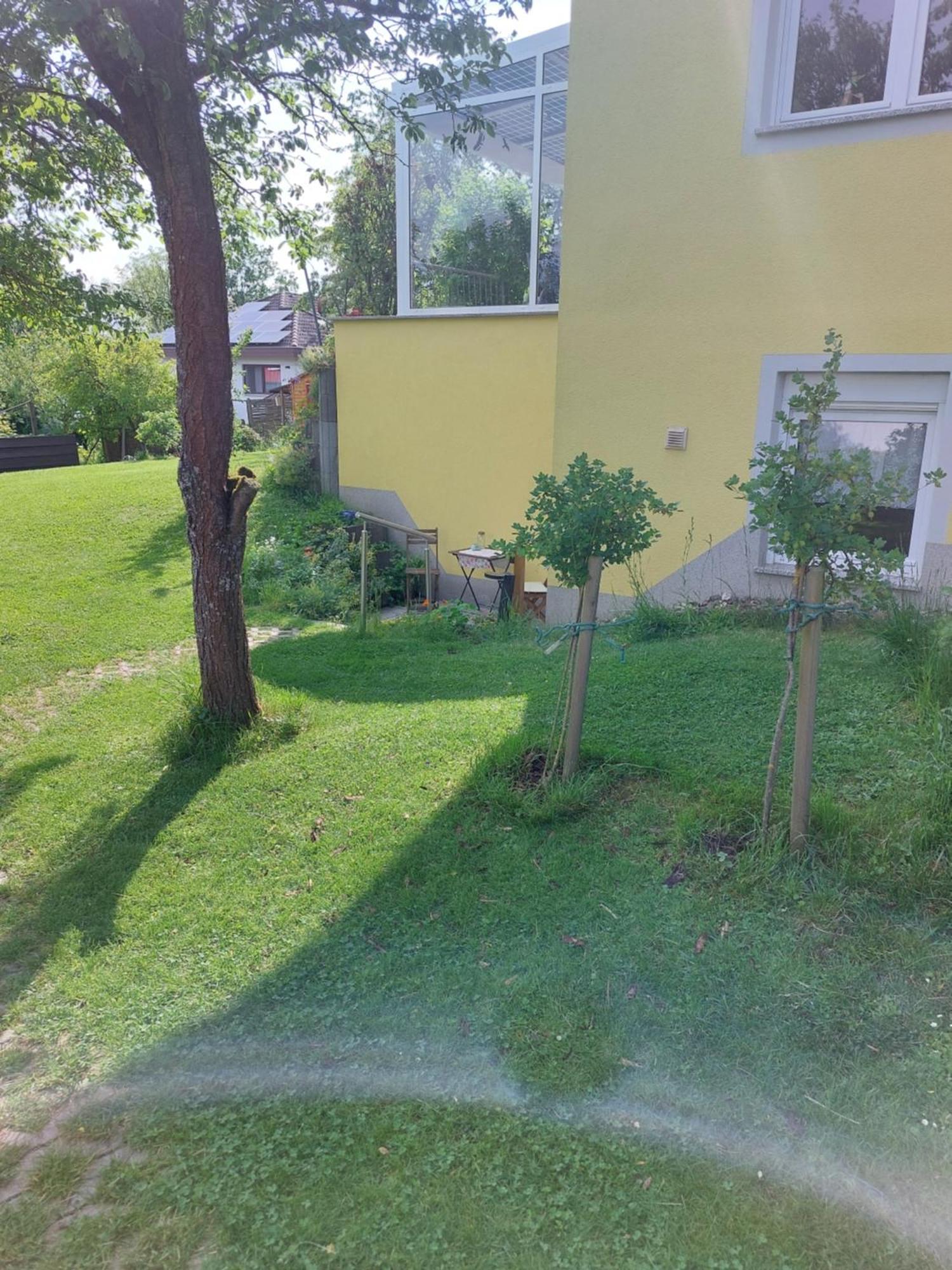 Apartamento Gelbes Haus Heldritt Bad Rodach Exterior foto
